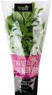 Базилік зелений 1шт