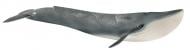 Фигурка Schleich Синий кит 14806