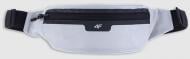 Сумка поясная 4F WAIST U098 4FWSS25AWAIU098-27S серый