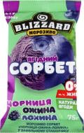 Морозиво ТМ blizzard ягідний сорбет Чорниця/ожина/лохина 75 г