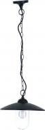 ВІТРИНА! Світильник підвісний Rabalux Vigo 8686 E27 60 Вт IP44 чорний