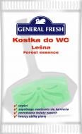 Туалетний блок General Fresh Лісовий