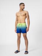 Шорты 4F 4FSS22TFSHM127-45A р. S зеленый