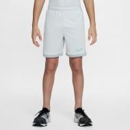 Шорты Nike K NK DF ACD25 SHORT K 7IN -PD HJ3718-025 р. S серый