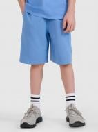 Шорты 4F SHORTS CAS M685 4FJRSS25TSHOM685-33S р. 128 голубой Шорты 4F SHORTS CAS M685 4FJRSS25TSHOM685-33S р. 128 голубой