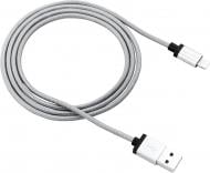 Кабель Canyon Lightning – USB 1 м серый (CNS-MFIC3DG)