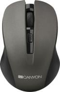 Мышь Canyon CNE-CMSW1G black/grey