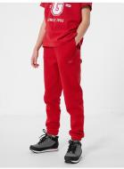 Брюки 4F TROUSERS JSPDD002 HJZ22-JSPDD002-62S р. 128 красный