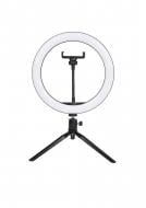 ВИТРИНА! Светильник кольцевой Accento lighting 26 см RGB с настольным штативом