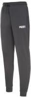 Штани Puma Sweatpants 53741318 р. L різнокольоровий