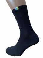 Шкарпетки чоловічі Cool Socks 18382 р.35-38 чорний