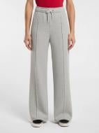 Брюки Dickies MAPLETON STRAIGHT SWEATPNT W DK0A4Z2VGYM1 р. XS серый