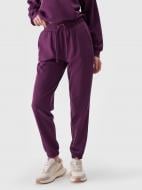 Брюки 4F TROUSERS CAS F0993 4FWSS25TTROF0993-50S р. XS