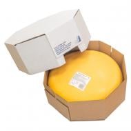 Сыр твердый Campina Маасдам 45% Friesland