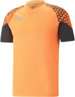 Футболка Puma INDIVIDUALCUP TRAINING JERSEY 65828950 р.S оранжевый