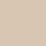 Латексна Caparol Samtex 3 E.L.F. глибокий мат Nutria 15 2,5 л Латексна Caparol Samtex 3 E.L.F. глибокий мат Nutria 15 2,5 л