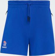 Шорты Adidas D4T SHORT KS3839 р. S фиолетовый