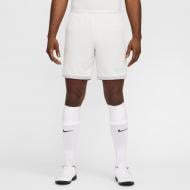 Шорты Nike M NK DF ACD25 SHORT K BR HJ3796-025 р. L серый