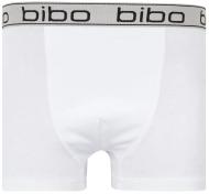 Трусы для мальчиков Bibo р.134 белый 24010 Трусы для мальчиков Bibo р.134 белый 24010