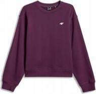 Джемпер 4F SWEATSHIRT F2204 4FWSS26TSWSF2204-60S р.M бордовый