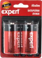 Батарейка Expert D (R20, 373) 2 шт. (30725008) Батарейка Expert D (R20, 373) 2 шт. (30725008)