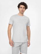 Футболка 4F 4FSS22TTSHM137-27M р.2XL серый