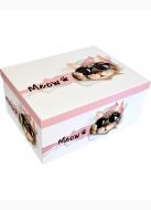 Коробка подарочная прямоугольная Meow 21х15х8 см