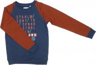 Джемпер для мальчика NWM р.158 синий с коричневым U44157-1