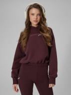 Джемпер 4F SWEATSHIRT F2175 4FWSS26TSWSF2175-80S р.XS бежевый