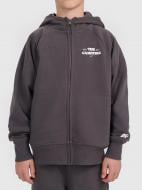 Джемпер 4F SWEATSHIRT M2227 4FJWSS26TSWSM2227-22S р.164 коричневый