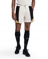 Шорты Nike M NK DF STRK+ 5IN SHORT W HJ4191-110 р. XL бежевый