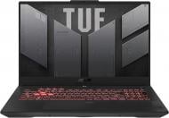 Ноутбук Asus TUF Gaming A17 FA707NU-HX081 17,3" (90NR0EF6-M00580) jaeger gray