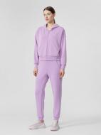 Брюки 4F D4L22-SPDF202-51S р. M фиолетовый