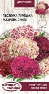 Семена Насіння України гвоздика (диантус) турецкая Махровая смесь 752200 0,25 г