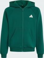 Джемпер Adidas J CLGT FZ HD KS5142 р.164 зеленый