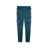 Штани Puma NEYMAR JR CREATIVITY TRAINING PANTS 65895113 р. XL зелений