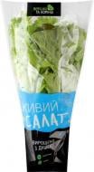 Набор салатный (дуболистный, фризе) 180 г