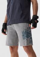 Шорты 4F SHORTS FNK M531 4FRAW23TFSHM531-25M р. M серый Шорты 4F SHORTS FNK M531 4FRAW23TFSHM531-25M р. M серый