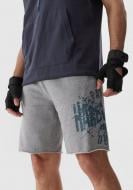 Шорти 4F SHORTS FNK M531 4FRAW23TFSHM531-25M р. L сірий