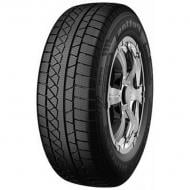 Шина PETLAS W671 285/45 R19 111 H шипована зима