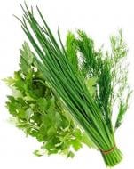 Зелень витаминный пучок, 90 г