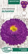 Семена Насіння України астра Помпонная Валькірія 0,25 г