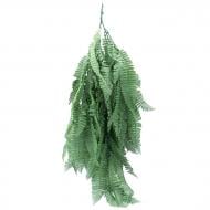 Веточка декоративная Persian fern 65 cм (AV-01) Engard