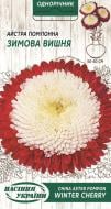 Семена Насіння України астра помпонная Зимняя вишня 771400 0,25 г Семена Насіння України астра помпонная Зимняя вишня 771400 0,25 г