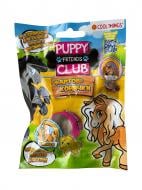 Игрушка-сюрприз Cool Things Puppy Club Friends Фартовые лошадки PC046