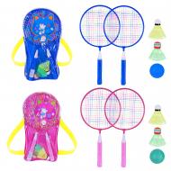 Набір для бадмінтону Shantou у сумці BD20601