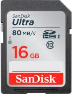 Карта пам'яті SanDisk SDHC 16GB (SDSDUNC-016G-GN6IN)