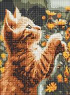 Алмазная мозаика Рыжий пушистик ©art_selena_uа Ideyka