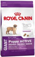 Корм сухий для цуценят для гігантських порід Royal Canin Giant Puppy Active 15 кг (домашня птиця) 15 кг