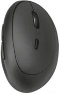 Мышка Trust Orbo Wireless Ergonomic Mouse black (23002)